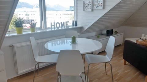 Gorgeous studio with panorama view