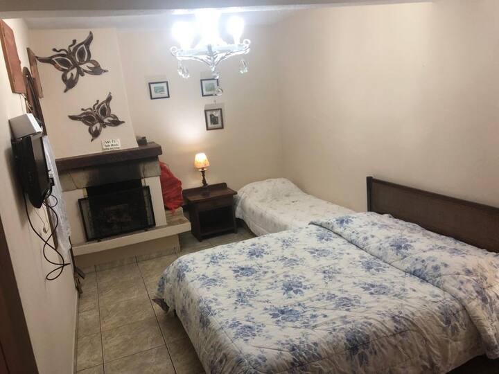 Apartman, kamin, bračni krevet (160x200) i krevet za jednu osobu.