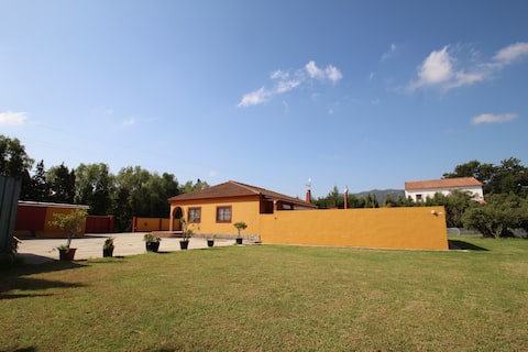 Among the orange trees