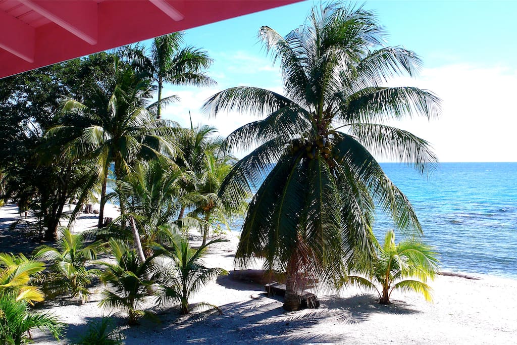 THE CORAL HOUSE ON TREASURE BEACH Houses for Rent in Utila, Islas de