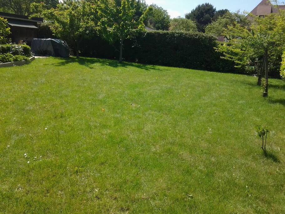 un grand jardin agréable