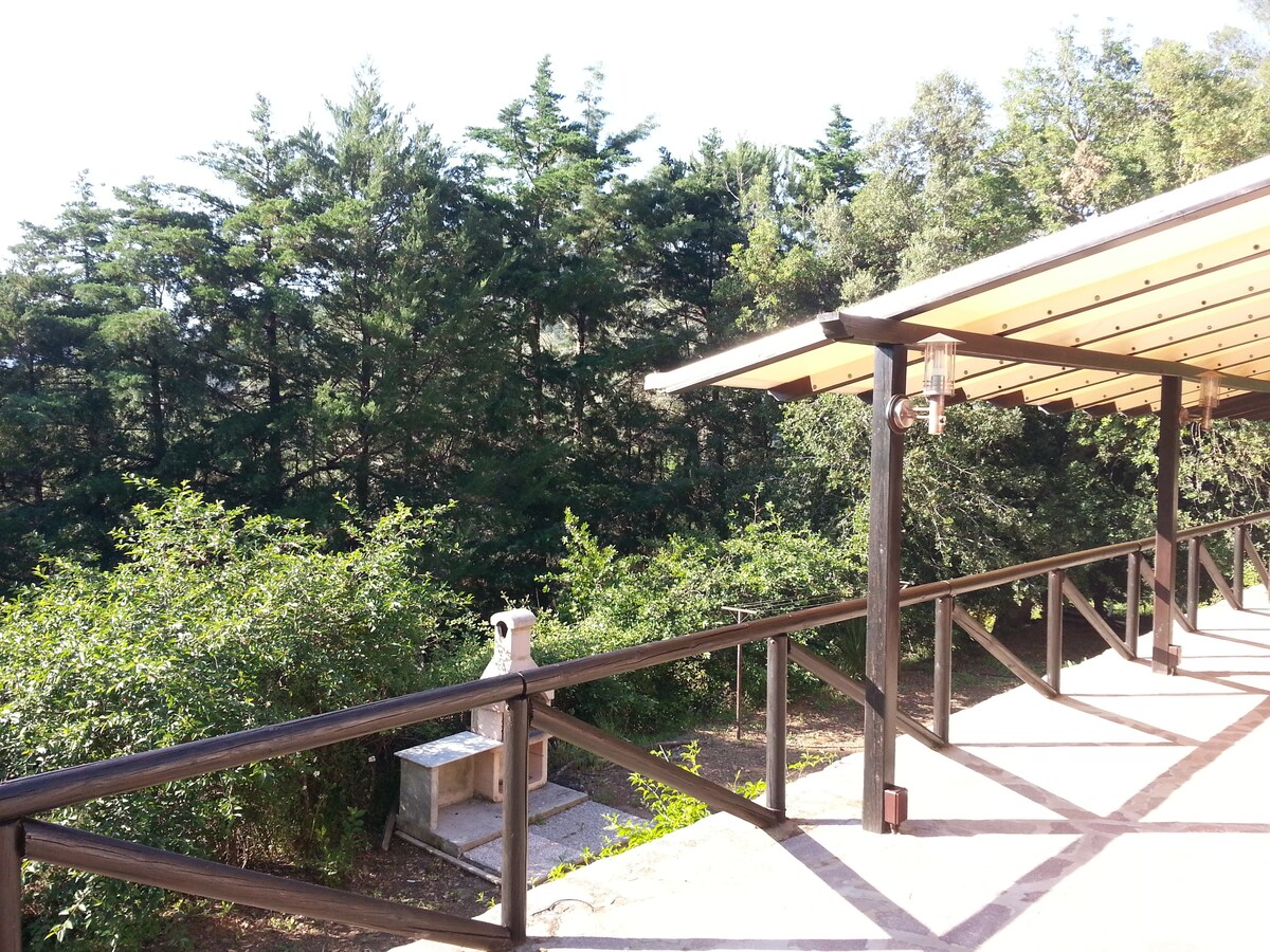 Top Airbnb: In the greenery near the sea, pets OK, boat discount a Rio