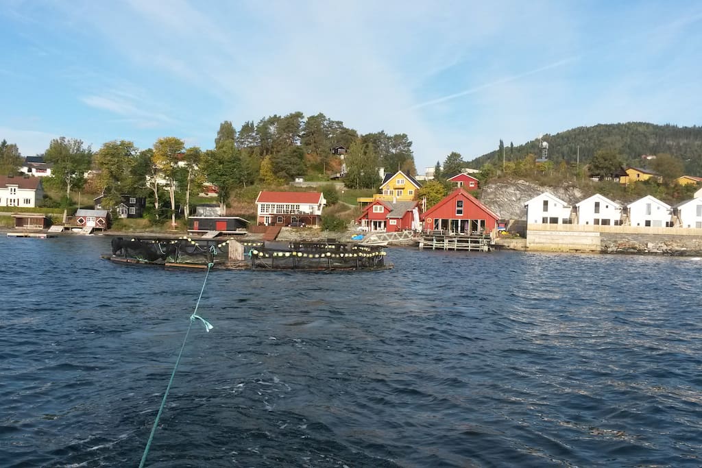 Vinjesjøen heter det gamle handelsstedet i Mosvik.