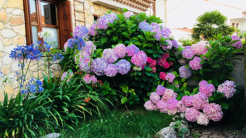 Airbnb Careses Vacation Rentals Places To Stay Principado De Asturias Spain