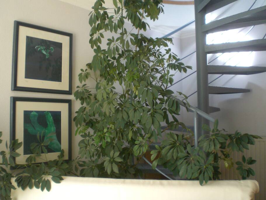 Aufgang Galerie Blauer Salon