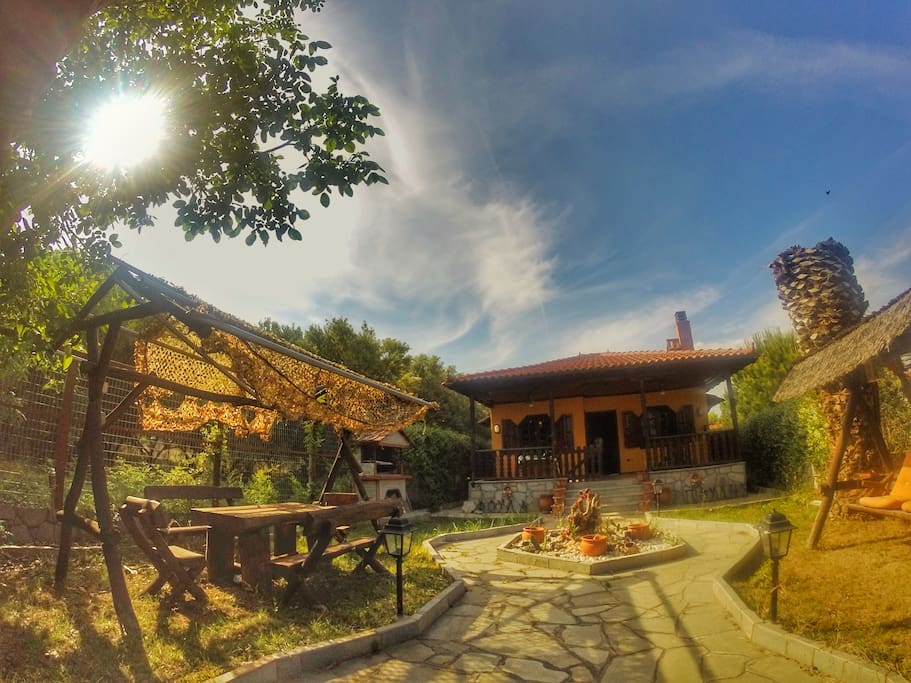 The garden with outdoor furniture and swing