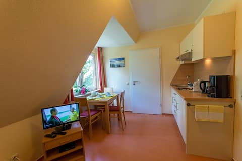 Successful Airbnb property: 3 person apartment on the island of Spiekeroog in Spiekeroog