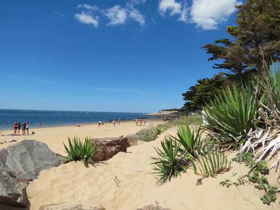 Agréable plage à 100m plein sud