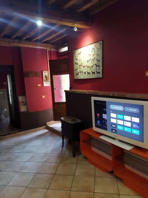 Annuncio Airbnb popolare: Loft70 a Montescudaio