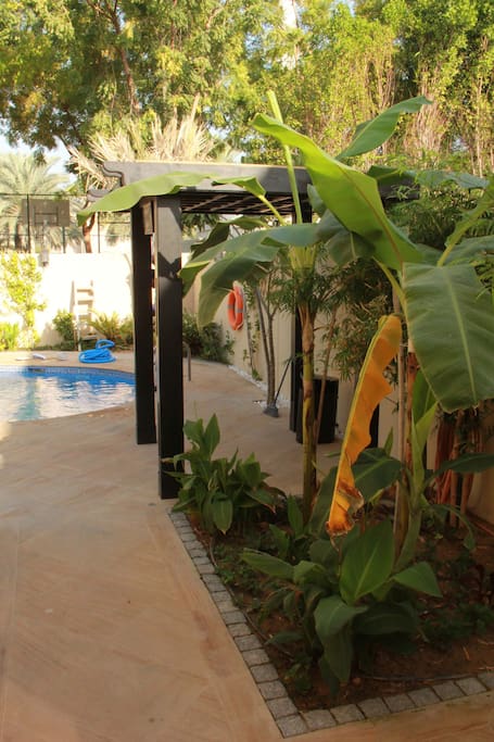 Relax in a calm and green area of Dubai