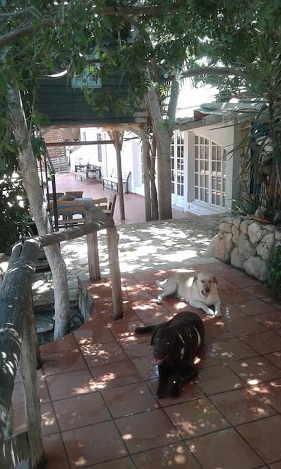 PERLA & CHASE 01