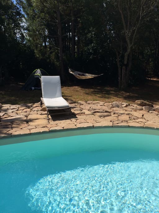 Piscine .... et hamac