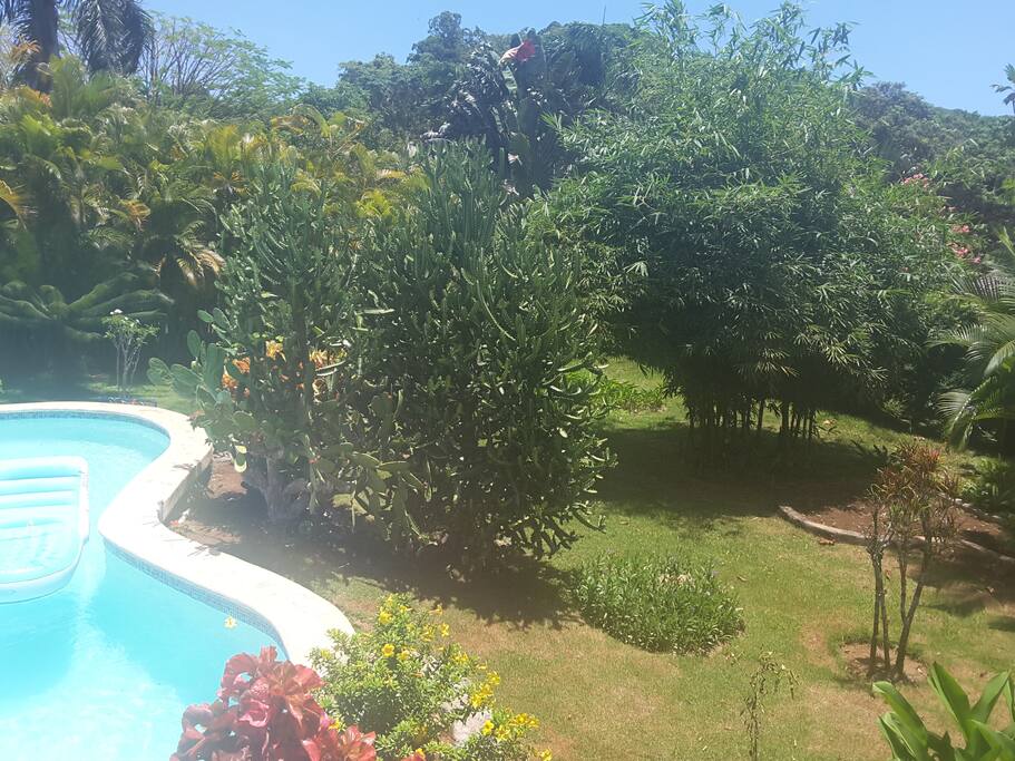 Sans vis-à-vis