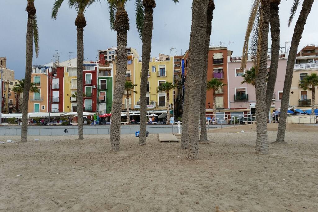 Palmtrees right in front of the alley where the groundfloor is located