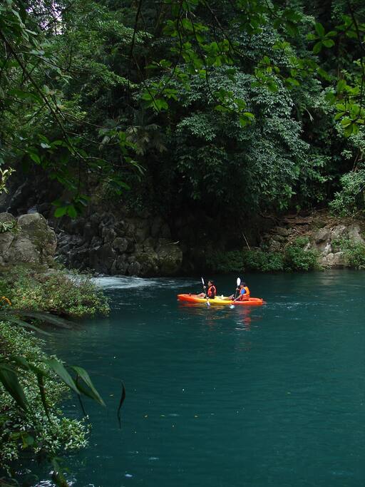 Río, selva y amigos.