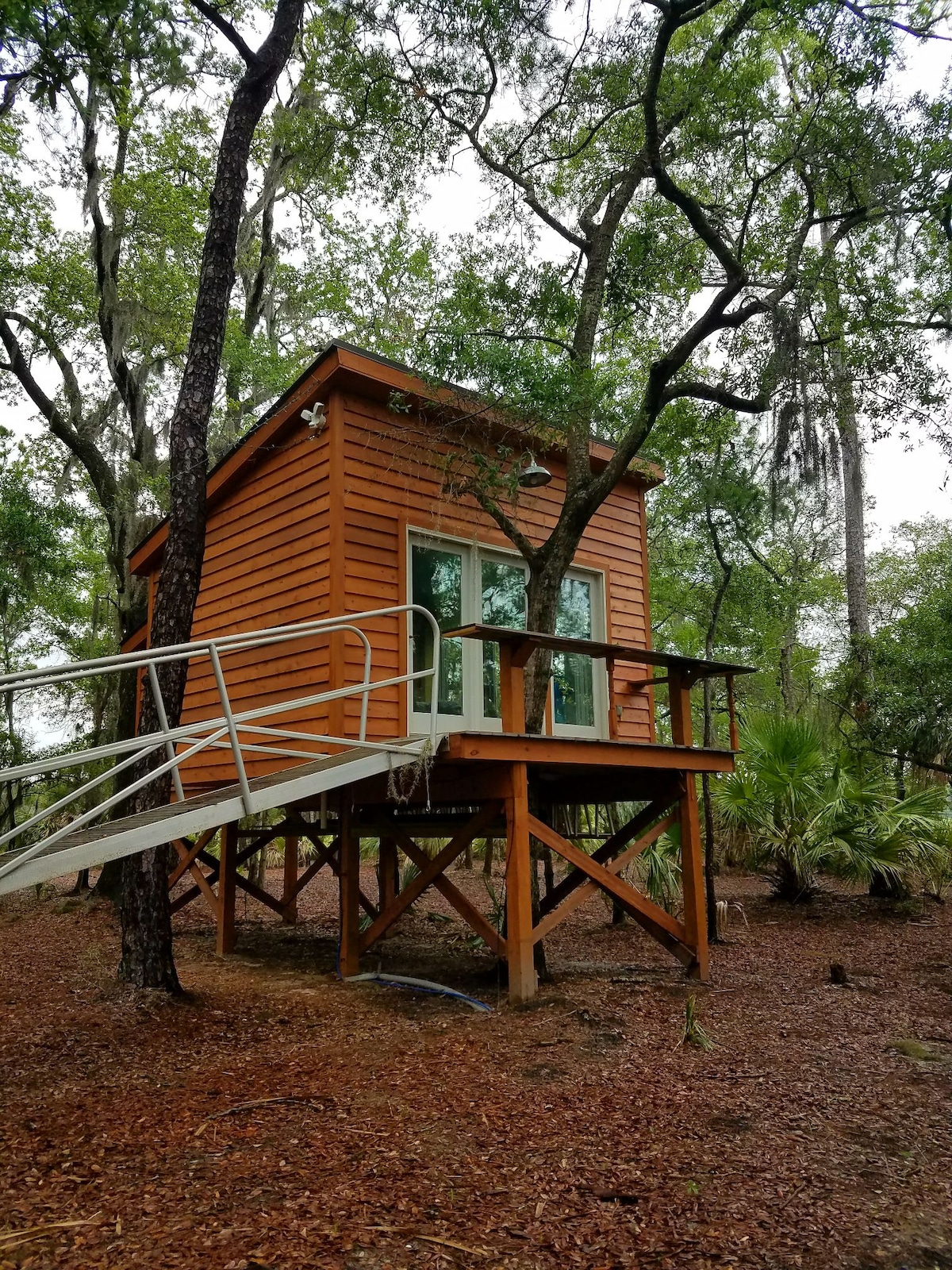 A charming treehouse studio is elevated on wooden stilts, surrounded by lush greenery. The exterior features warm wooden siding and large glass windows, inviting natural light inside. A small deck with a railing offers a space to enjoy the serene woodland surroundings.