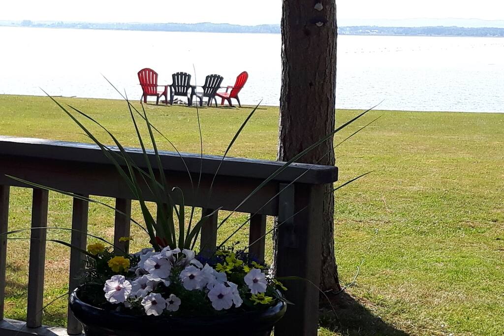 View from deck