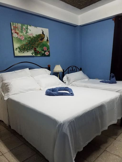 Votre chambre climatisée avec lit double et lit simple.
Your air-conditioned room with a double bed and a single bed.
Su habitación con aire acondicionado, una cama doble y una cama individual.