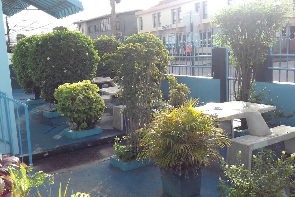 picturesque garden view