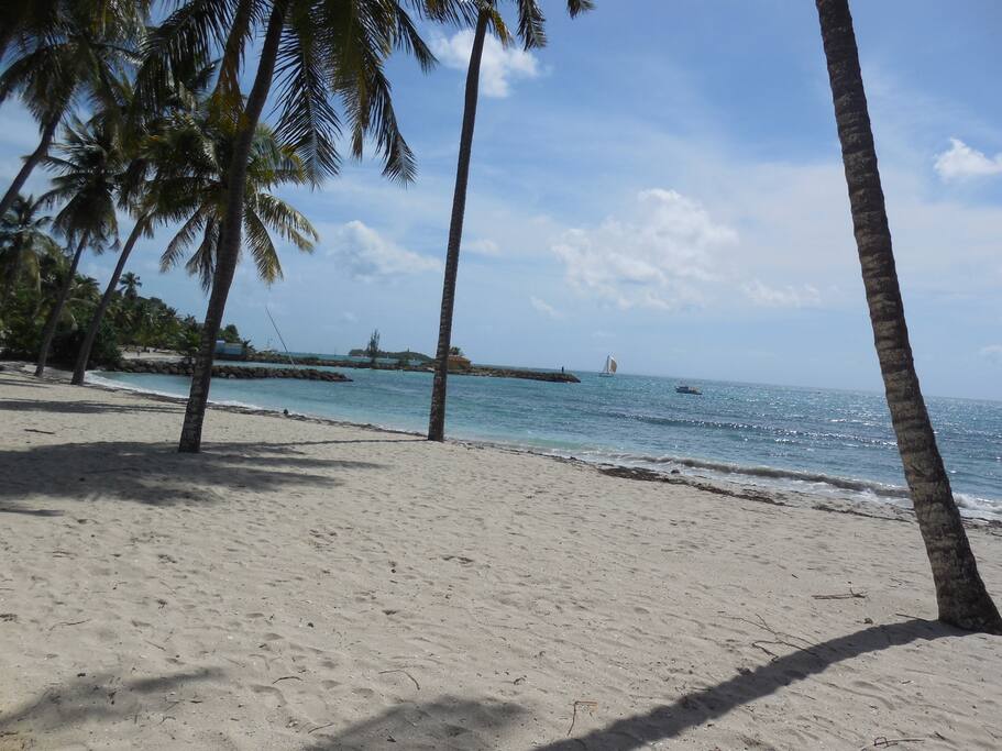 Belle plage face à l'appartement !