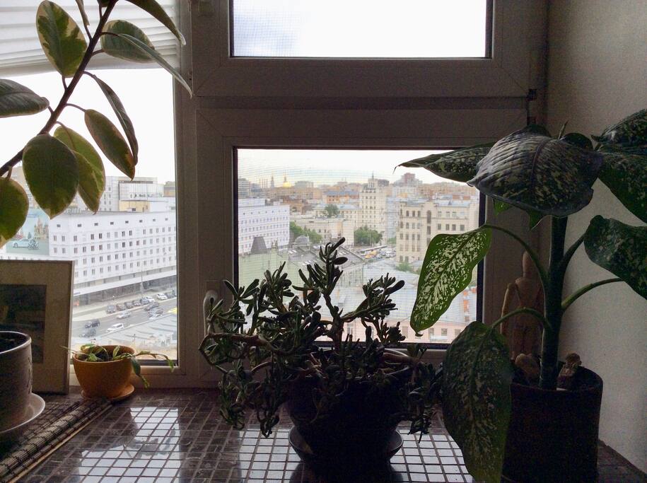 Вид из окна на Москву.