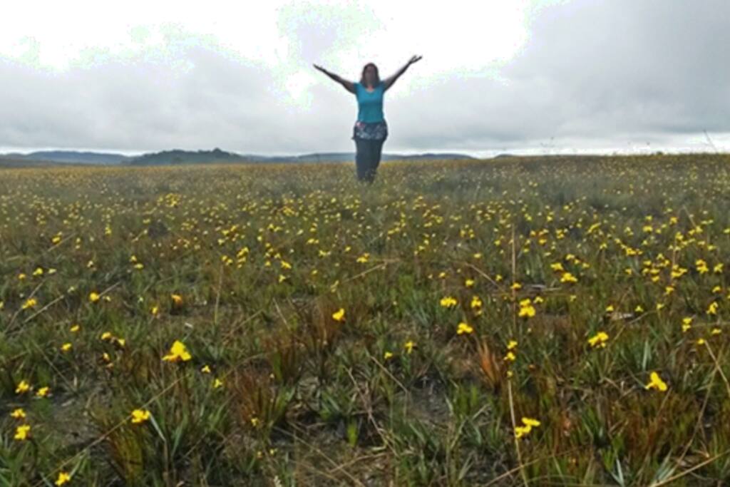 Serra do Cipó - Descanso, lazer e turismo em Minas Gerais - Brasil