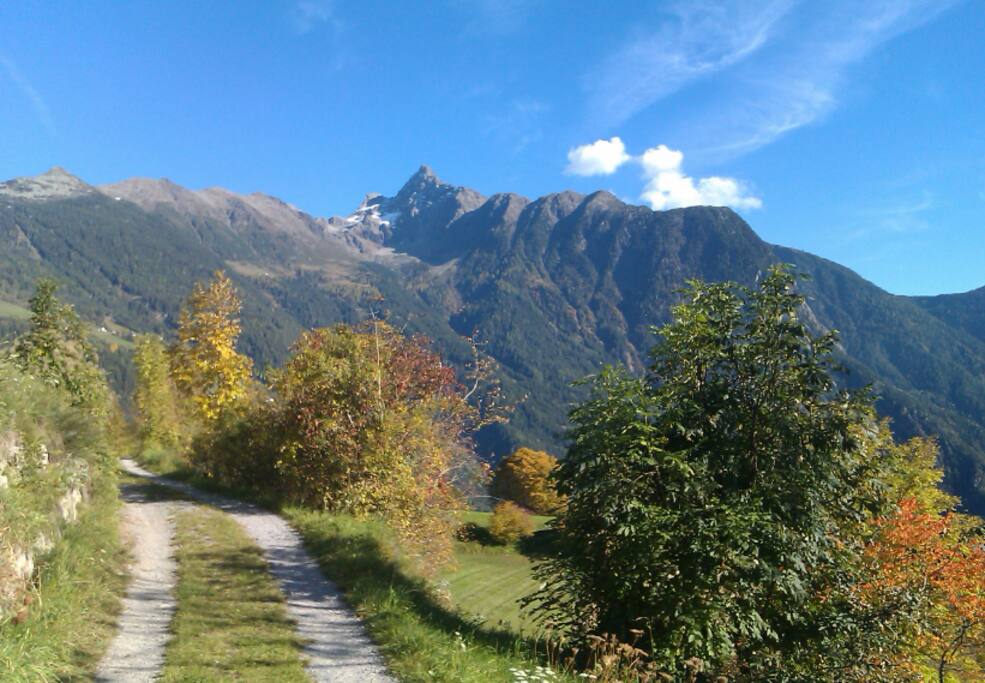 Gleich vom Haus direkter Ausgangspunkt für Wandern, Laufen, Spazieren, Schifahren