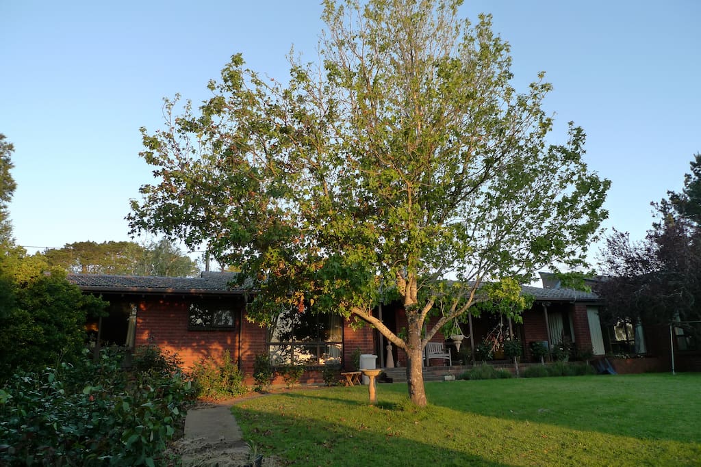 The Red Shed - Caba�as en alquiler en Hahndorf, Australia ...