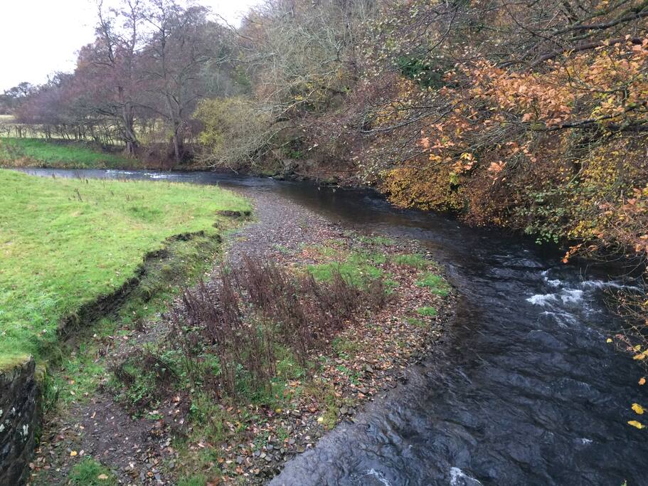 Beautiful walks along the river