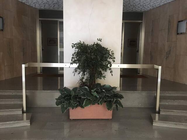 Cute and Cozy apartment gallery image 3