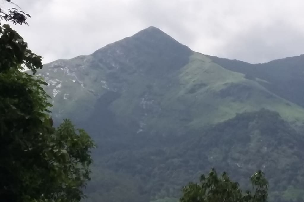 Chembra Peak View