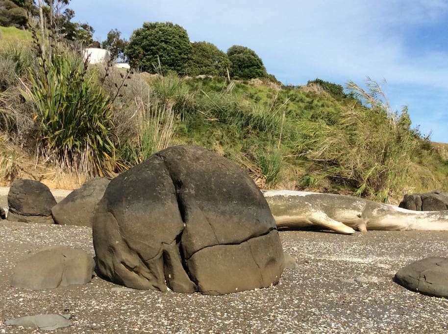 Boulders of Koutu Loop