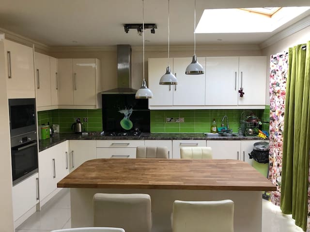 Luxury modern house in heart of London