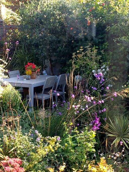 Summer garden for breakfast