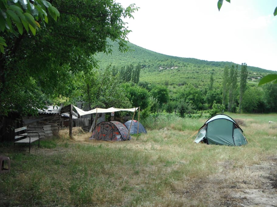 Place for tents