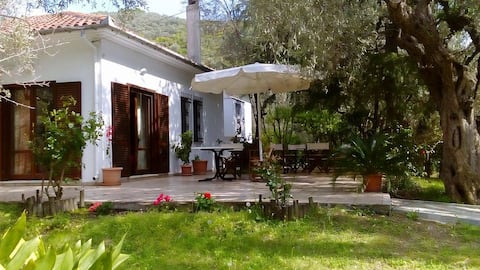 Villa Abovos