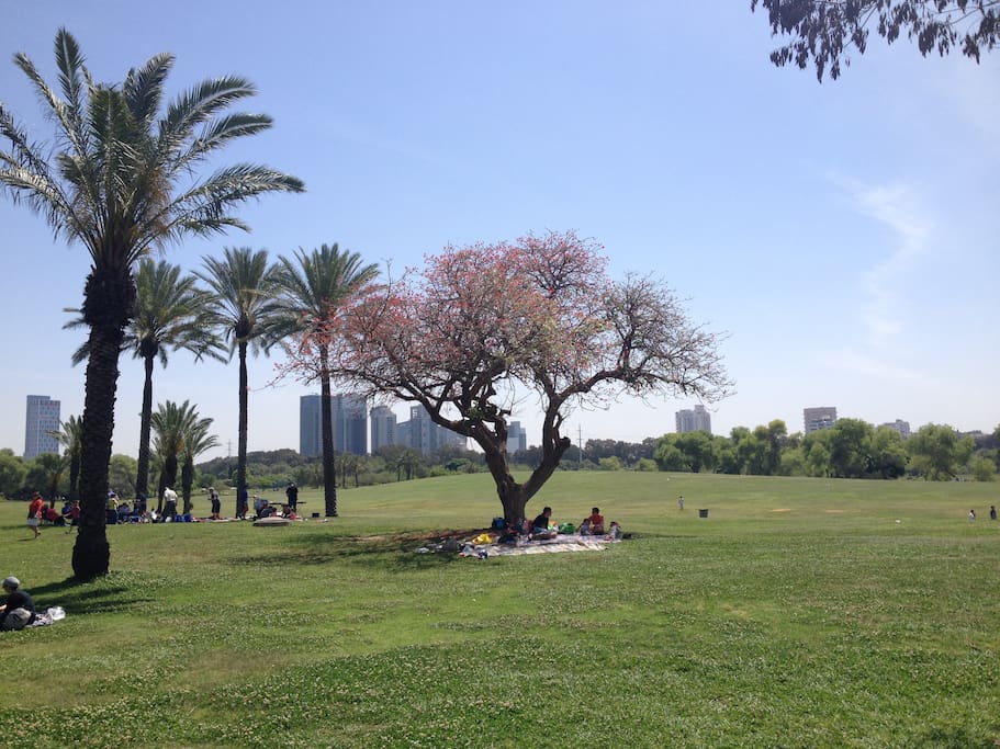 Yarkon Park