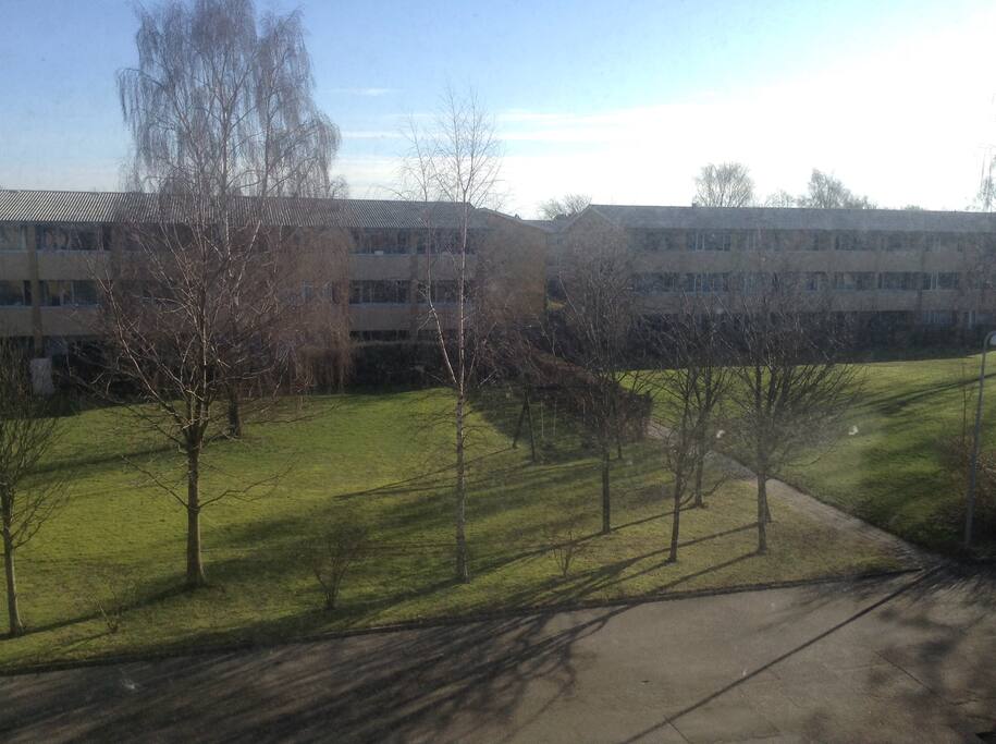 The view from your room.