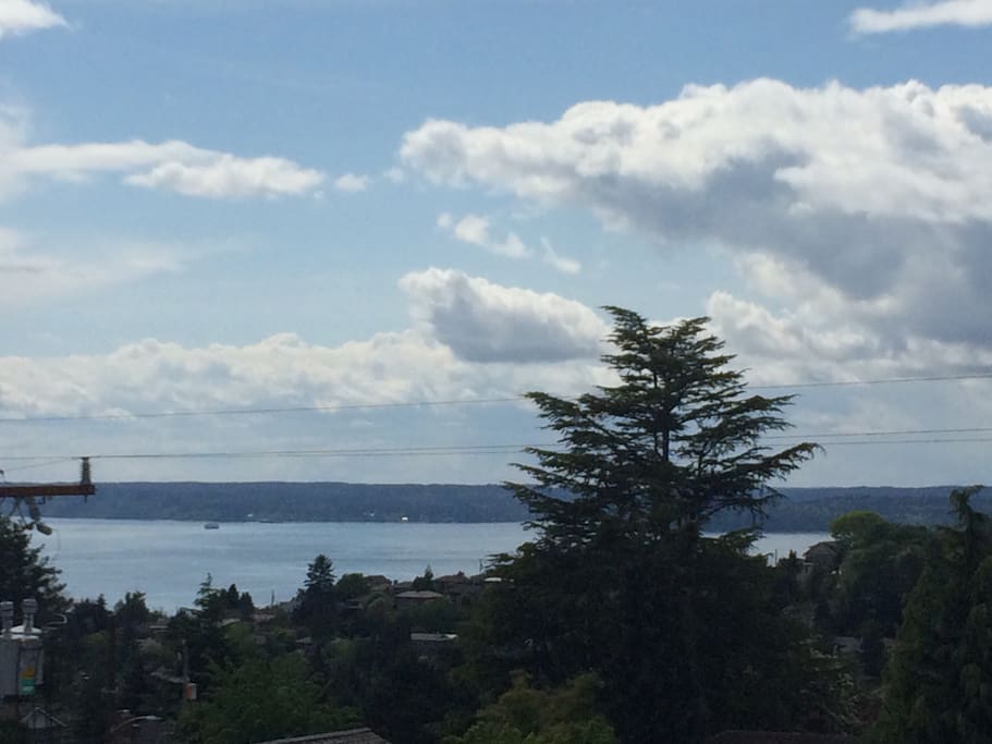 View of Puget Sound from our roof deck!