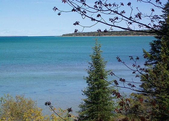 A serene view of Lake Michigan is captured, featuring clear turquoise water gently lapping against the shore. The foreground includes green foliage and trees, framing the peaceful landscape, while a distant shoreline is visible on the horizon.