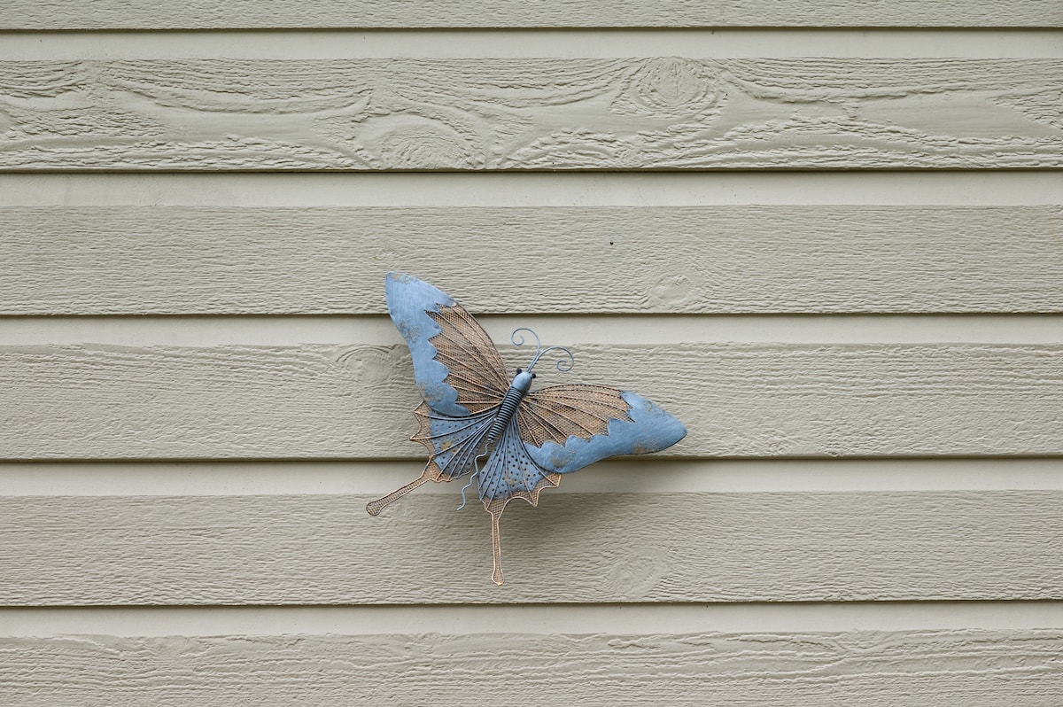 A decorative butterfly sculpture is mounted on a textured beige wall. The butterfly features delicate blue and brown wings with intricate metallic details, adding a subtle touch of charm to the exterior.