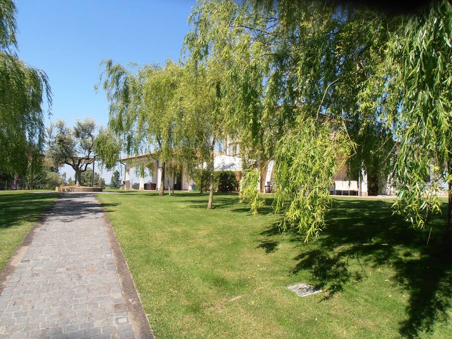 Il vialetto d'ingresso.