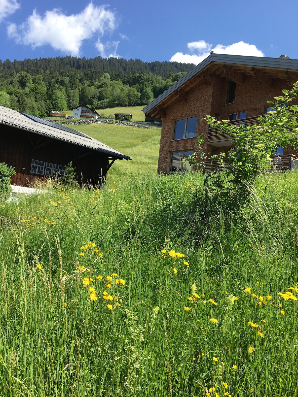 A spacious wooden house is surrounded by lush, green grass and colorful wildflowers. The scenic mountain backdrop highlights the tranquil location, with a partly cloudy blue sky above. The architecture features a blend of rustic elements with natural materials, inviting a connection with the surrounding nature.