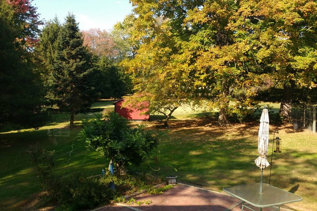 The view of the backyard from the apartment
