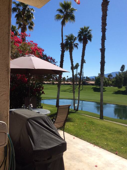 View from dining room
