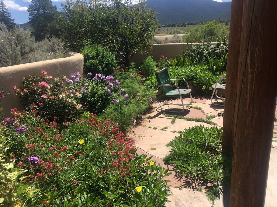 Front raised bed garden .... green, lush, colorful