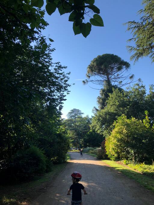 Quick easy walk through the gardens to the main street shopping precinct