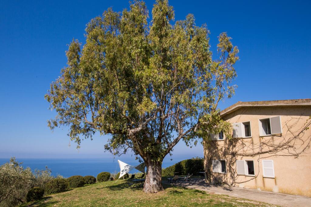 L'Orizzonte di Punta Tresino