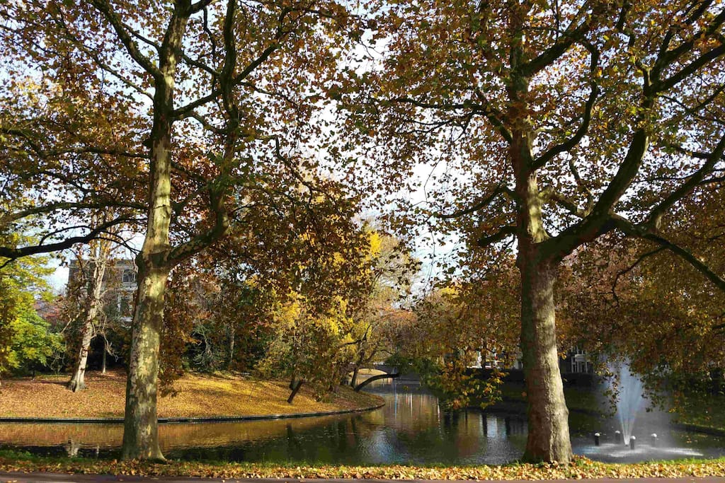 autumn view
