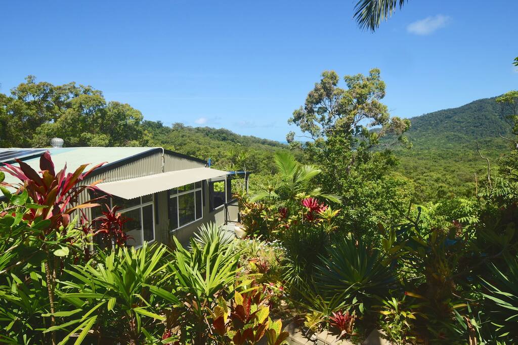 Cow Bay Hilltop Escape Houses for Rent in Cow Bay, Queensland, Australia